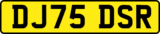 DJ75DSR