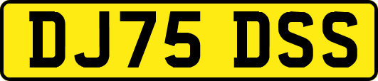 DJ75DSS