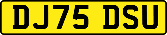 DJ75DSU