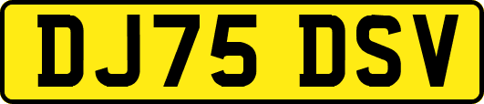 DJ75DSV