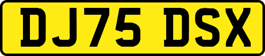 DJ75DSX