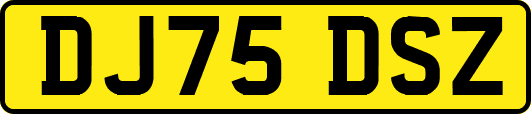 DJ75DSZ