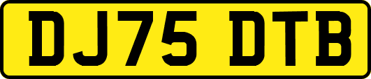 DJ75DTB