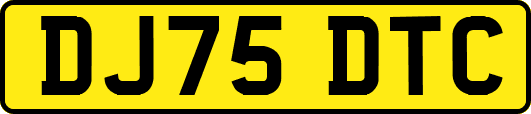 DJ75DTC