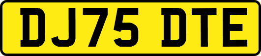 DJ75DTE
