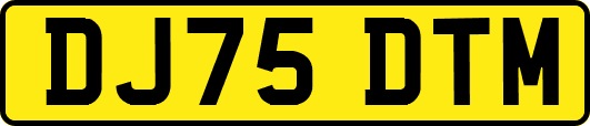 DJ75DTM