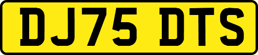DJ75DTS