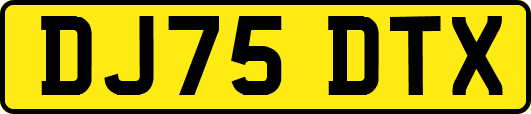 DJ75DTX