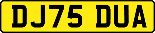 DJ75DUA