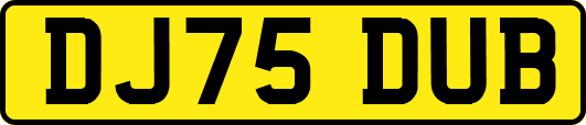 DJ75DUB