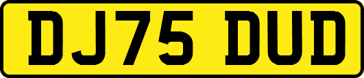 DJ75DUD