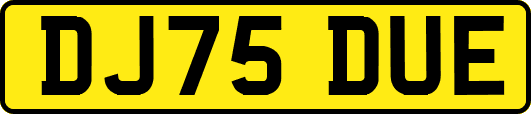 DJ75DUE