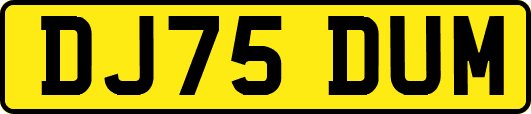 DJ75DUM