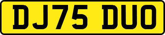 DJ75DUO