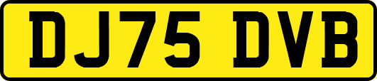 DJ75DVB