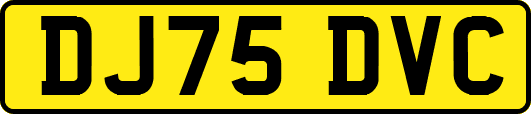 DJ75DVC