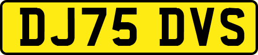DJ75DVS