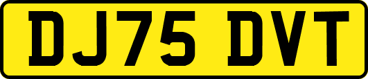 DJ75DVT