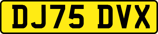 DJ75DVX