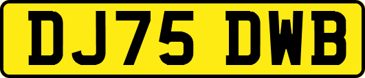 DJ75DWB