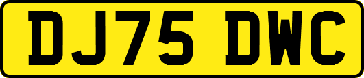 DJ75DWC