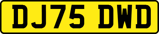 DJ75DWD