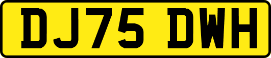 DJ75DWH