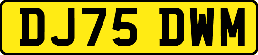 DJ75DWM