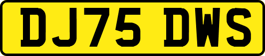 DJ75DWS