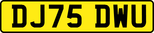 DJ75DWU