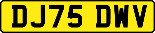 DJ75DWV