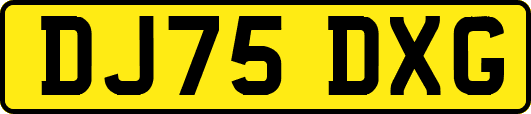 DJ75DXG