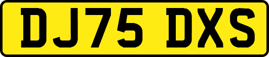 DJ75DXS