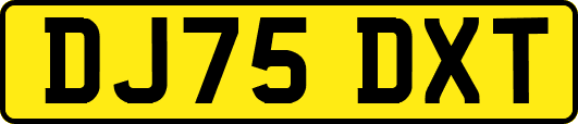 DJ75DXT