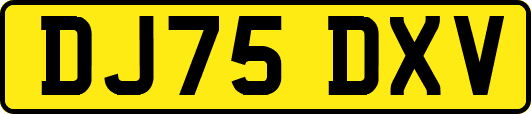 DJ75DXV