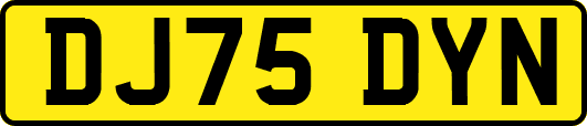 DJ75DYN