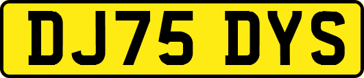 DJ75DYS