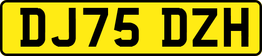 DJ75DZH