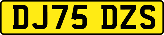 DJ75DZS