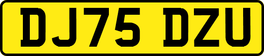 DJ75DZU