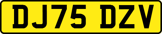 DJ75DZV