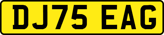 DJ75EAG
