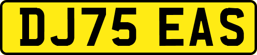 DJ75EAS