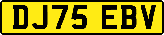 DJ75EBV