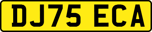 DJ75ECA