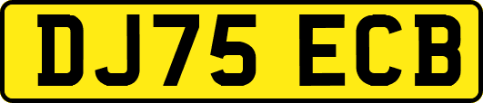 DJ75ECB