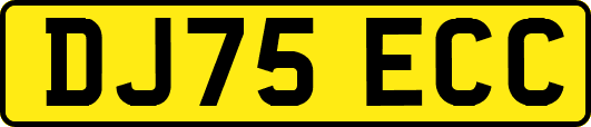 DJ75ECC