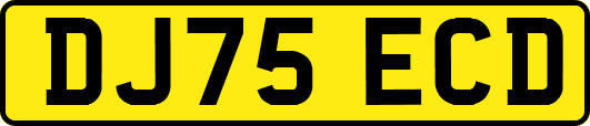 DJ75ECD