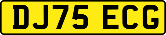 DJ75ECG