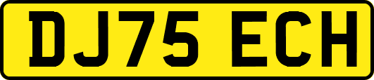 DJ75ECH